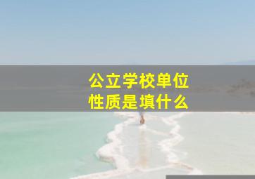 公立学校单位性质是填什么