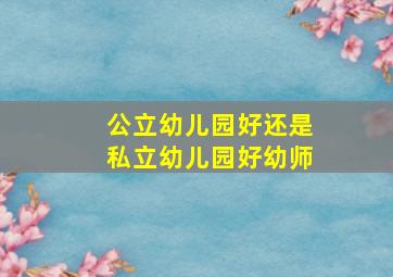 公立幼儿园好还是私立幼儿园好幼师