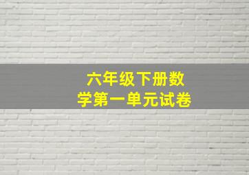 六年级下册数学第一单元试卷