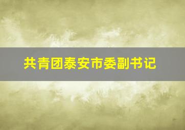 共青团泰安市委副书记