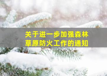 关于进一步加强森林草原防火工作的通知