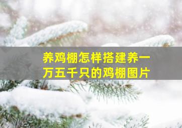 养鸡棚怎样搭建养一万五千只的鸡棚图片