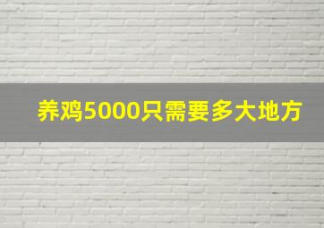 养鸡5000只需要多大地方