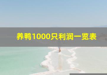 养鸭1000只利润一览表