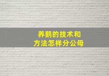 养鹅的技术和方法怎样分公母