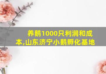 养鹅1000只利润和成本,山东济宁小鹅孵化基地