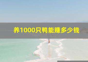 养1000只鸭能赚多少钱