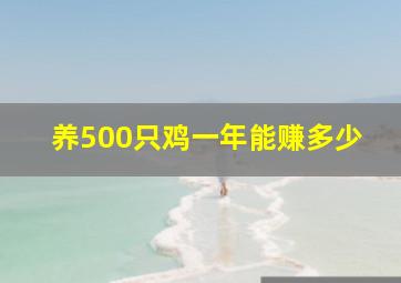 养500只鸡一年能赚多少