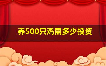 养500只鸡需多少投资