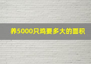 养5000只鸡要多大的面积