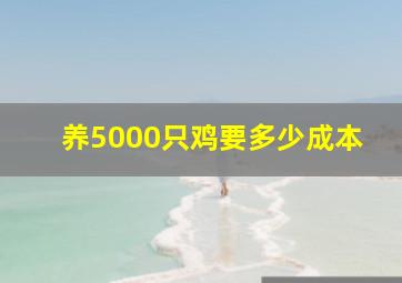 养5000只鸡要多少成本