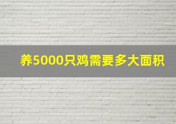 养5000只鸡需要多大面积