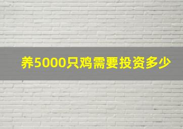 养5000只鸡需要投资多少