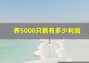 养5000只鹅有多少利润