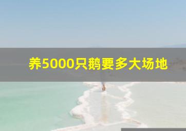 养5000只鹅要多大场地