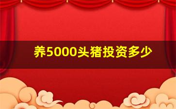 养5000头猪投资多少