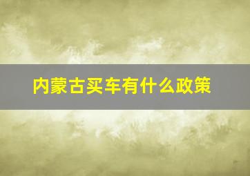 内蒙古买车有什么政策