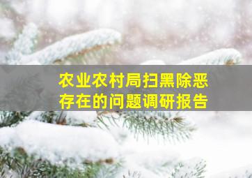 农业农村局扫黑除恶存在的问题调研报告