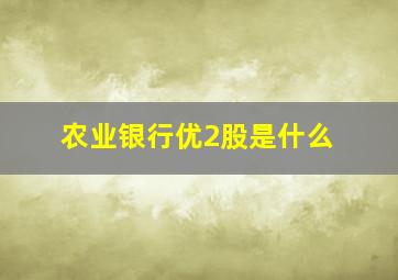 农业银行优2股是什么