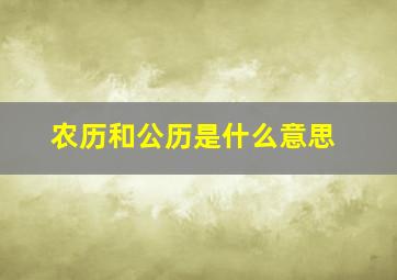 农历和公历是什么意思