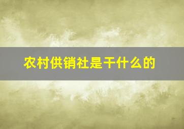 农村供销社是干什么的