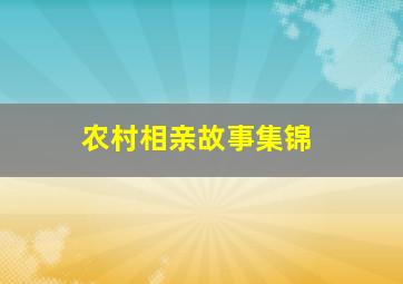 农村相亲故事集锦