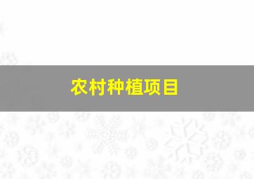 农村种植项目