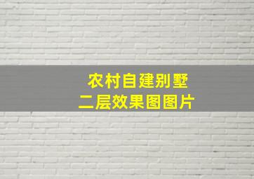 农村自建别墅二层效果图图片