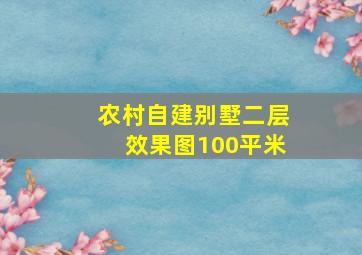 农村自建别墅二层效果图100平米