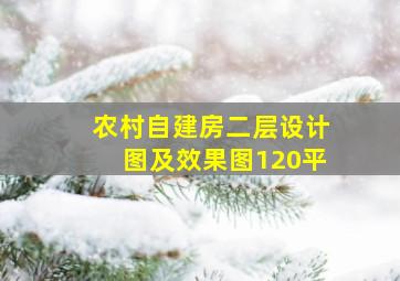 农村自建房二层设计图及效果图120平