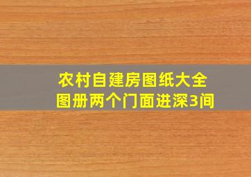 农村自建房图纸大全图册两个门面进深3间