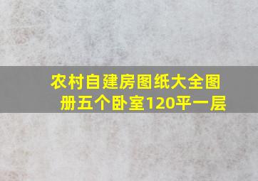 农村自建房图纸大全图册五个卧室120平一层