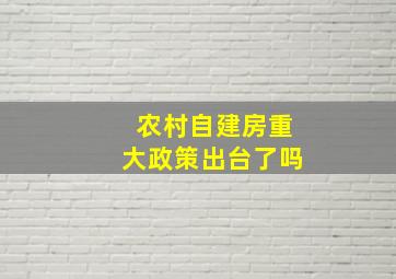 农村自建房重大政策出台了吗