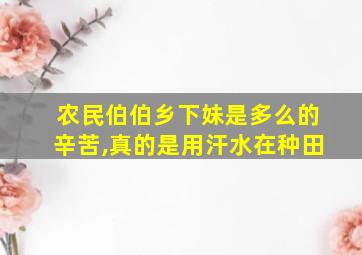 农民伯伯乡下妹是多么的辛苦,真的是用汗水在种田