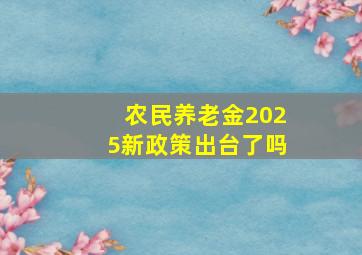 农民养老金2025新政策出台了吗