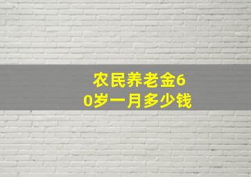 农民养老金60岁一月多少钱