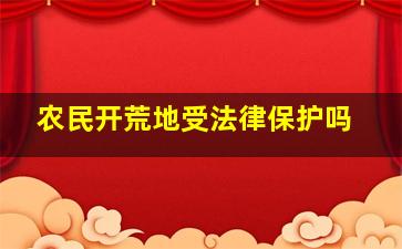 农民开荒地受法律保护吗