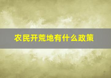 农民开荒地有什么政策