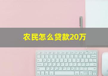 农民怎么贷款20万