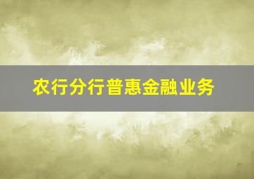 农行分行普惠金融业务