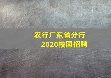 农行广东省分行2020校园招聘