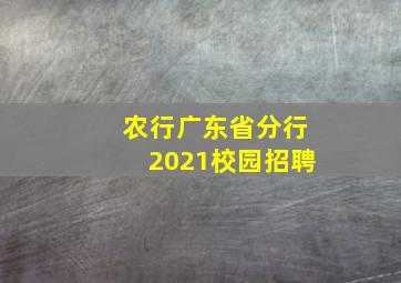 农行广东省分行2021校园招聘