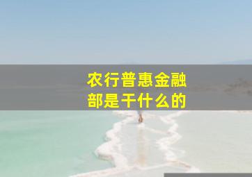 农行普惠金融部是干什么的