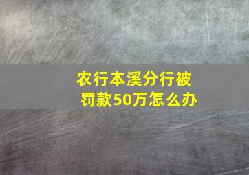 农行本溪分行被罚款50万怎么办