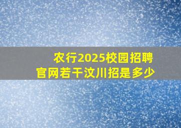 农行2025校园招聘官网若干汶川招是多少