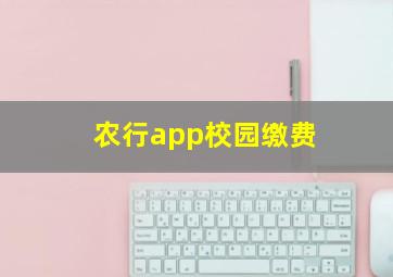 农行app校园缴费