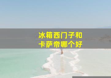 冰箱西门子和卡萨帝哪个好