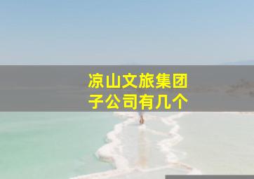 凉山文旅集团子公司有几个