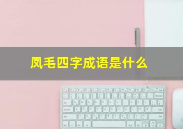 凤毛四字成语是什么