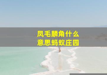 凤毛麟角什么意思蚂蚁庄园